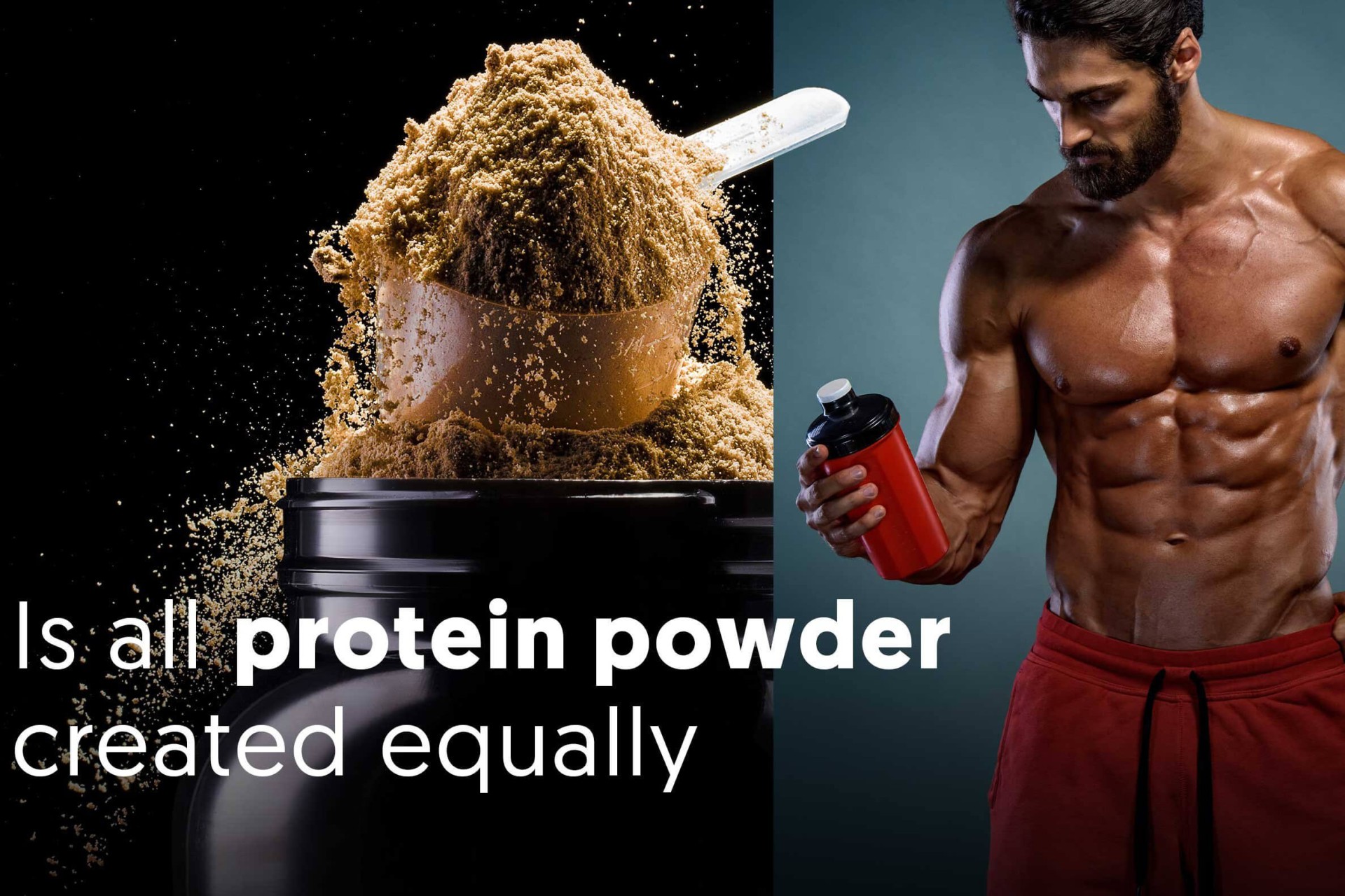 beef protein isolate powder